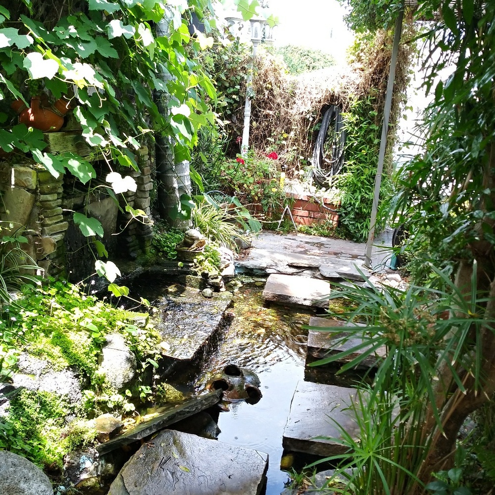 Meet your Posher, Robin